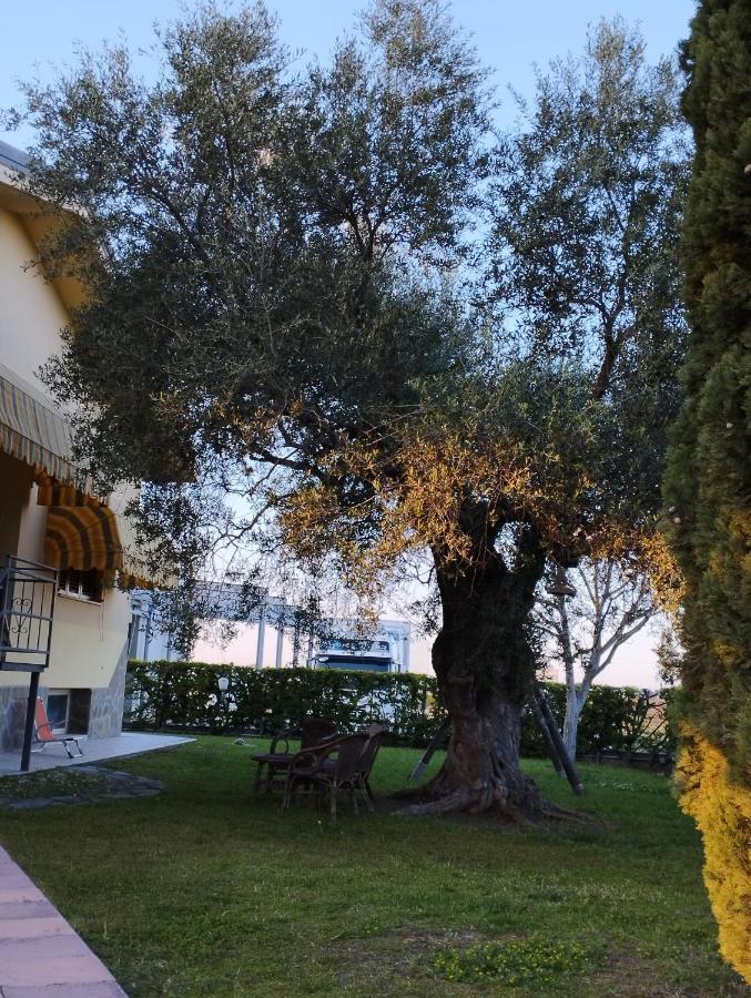 Magnolia House Apartman Scanzano Jonico Kültér fotó
